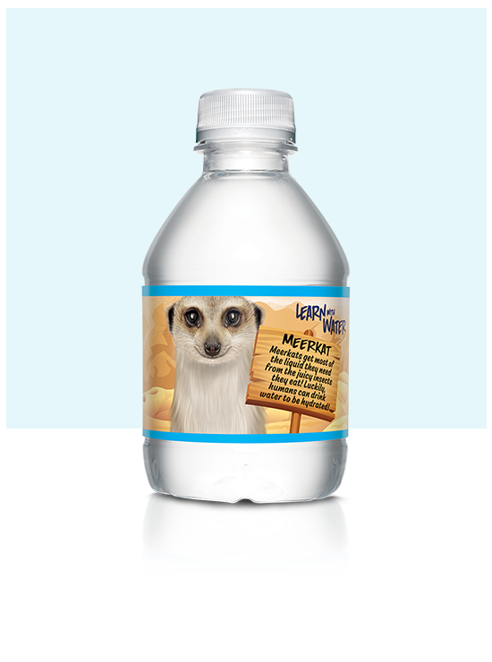 8 oz mini nestle pure life water bottle with meerkat label